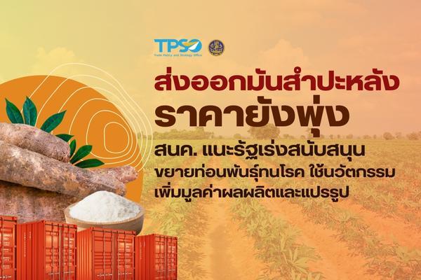 <p><strong>ดาวน์โหลดข้อมูลฉบับเต็ม:&nbsp;</strong><a href="https://uploads.tpso.go.th/Press_ส่งออกมันสำปะหลังราคายังพุ่ง.pdf" target="_blank">Press_ส่งออกมันสำปะหลังราคายังพุ่ง.pdf</a></p>

<p>&nbsp; &nbsp; &nbsp; &nbsp; &nbsp; แม้ว่ามูลค่าการส่งออกผลิตภัณฑ์มันสำปะหลังในช่วง 9 เดือนแรกของปี 2566 จะหดตัว แต่ราคาส่งออกผลิตภัณฑ์มันสำปะหลังยังเพิ่มขึ้นต่อเนื่อง สนค. แนะรัฐบาลเร่งสนับสนุนการพัฒนาและขยายท่อนพันธุ์ทนโรคพืชและแมลง พร้อมทั้งใช้นวัตกรรมชั้นสูงเพิ่มมูลค่าผลผลิต และแปรรูป เพื่อเพิ่มโอกาสในการส่งออก และตอบสนองความต้องการผลิตภัณฑ์มันสำปะหลังในตลาดโลกที่ยังคงสูงขึ้น</p>

<p>&nbsp; &nbsp; &nbsp; &nbsp; &nbsp;&nbsp;นายพูนพงษ์ นัยนาภากรณ์ ผู้อำนวยการสำนักงานนโยบายและยุทธศาสตร์การค้า (สนค.) กระทรวงพาณิชย์ เปิดเผยว่า สนค. ได้ติดตามสถานการณ์การค้าสินค้าผลิตภัณฑ์มันสำปะหลังของไทยในช่วง 9 เดือนแรก (มกราคม &ndash; กันยายน 2566) พบว่ามีมูลค่าการส่งออกรวม 2,907.25 ล้านเหรียญสหรัฐ ลดลงร้อยละ 15.30 เมื่อเทียบกับช่วงเดียวกันของปีก่อนหน้า ซึ่งเกิดจากการปรับตัวลดลงของปริมาณการส่งออก ทั้งนี้ ไทยมีส่วนแบ่งในตลาดโลกเป็นอันดับ 1 คิดเป็นสัดส่วนร้อยละ 36.69 ถึงแม้ว่ามูลค่าการส่งออกจะลดลง แต่ราคาที่เกษตรกรขายได้และราคาส่งออกยังคงปรับตัวสูงขึ้น</p>
