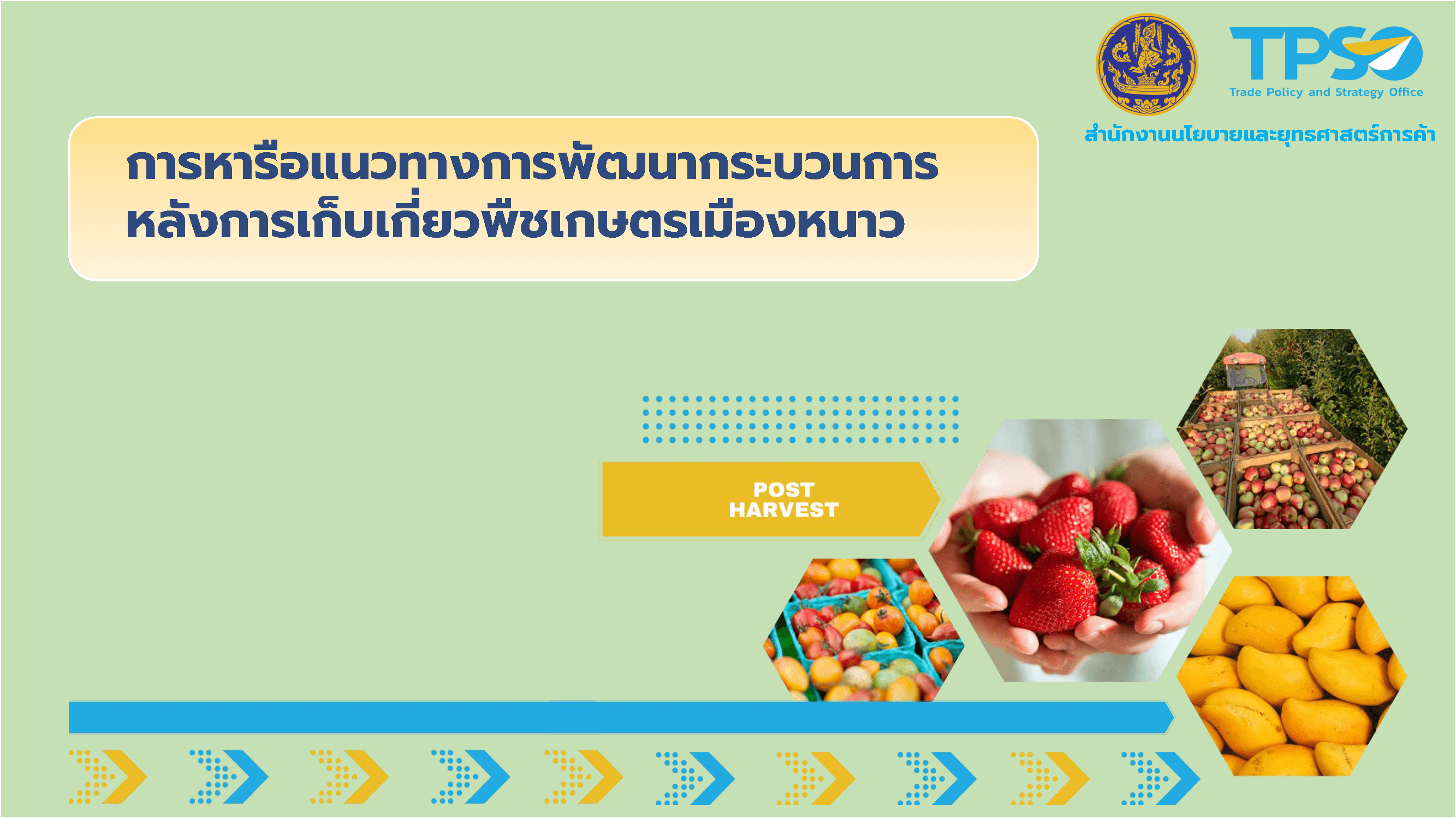 <p>&nbsp; &nbsp; &nbsp; &nbsp; &nbsp; &nbsp; &nbsp; ศูนย์วิจัยฯ มีการดำเนินงานร่วมกันระหว่าง 4 มหาวิทยาลัย ในการศึกษาการพัฒนากระบวนการที่เกี่ยวข้องกับสินค้าเกษตร ได้แก่ มหาวิทยาลัยเชียงใหม่ (ความปลอดภัย/คุณภาพหลังการเก็บเกี่ยว) มหาวิทยาลัยเกษตรศาสตร์ (การพัฒนาผลผลิตการเกษตร) มหาวิทยาลัยขอนแก่น (พืชไร่ และเครื่องจักรกล เกษตร) และมหาวิทยาลัยเทคโนโลยีพระจอมเกล้าธนบุรี (การเก็บรักษา/เตรียมการก่อนการขนส่ง) โดยศูนย์วิจัยฯ ให้ความเห็นว่า กระบวนการโลจิสติกส์หลังการเก็บเกี่ยวที่มีประสิทธิภาพ ระบบโลจิสติกส์แบบควบคุมอุณหภูมิ (Cold Chain) ที่เหมาะสมกับสินค้าเกษตรแต่ละชนิด และมีมาตรฐาน จะมีส่วนช่วยยกระดับมูลค่าสินค้าเกษตร ไทยไปสู่ตลาดพรีเมี่ยมได้</p>

<p><a href="http://uploads.tpso.go.th/1._kaarhaaruueaenwthaangkaarphathnaakrabwnkaarhlangkaarekbekiiywphuuechekstremuuenghnaaw_1.pdf" target="_blank">1._kaarhaaruueaenwthaangkaarphathnaakrabwnkaarhlangkaarekbekiiywphuuechekstremuuenghnaaw_1.pdf</a></p>
