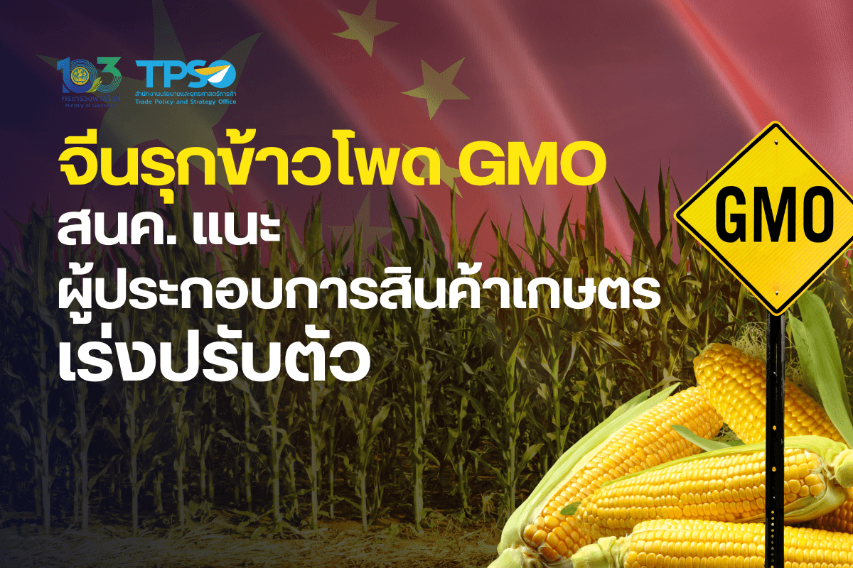 จีนรุกข้าวโพด GMO สนค. แนะผู้ประกอบการสินค้าเกษตรเร่งปรับตัว