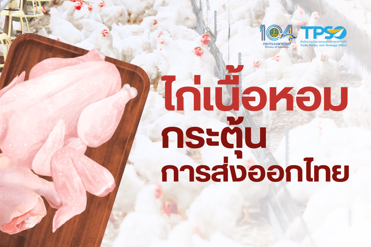 ไก่เนื้อหอม กระตุ้นการส่งออกไทย