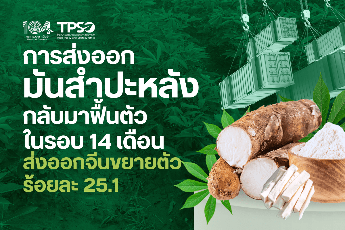 <p><strong>ดาวน์โหลดข้อมูลฉบับเต็ม:&nbsp;</strong><a href="https://uploads.tpso.go.th/การส่งออกมันสำปะหลังกลับมาฟื้นตัวในรอบ 14 เดือน.pdf" target="_blank">การส่งออกมันสำปะหลังกลับมาฟื้นตัวในรอบ 14 เดือน.pdf</a></p>

<p>&nbsp; &nbsp; &nbsp; &nbsp; &nbsp; <strong>นายพูนพงษ์ นัยนาภากรณ์ ผู้อำนวยการสำนักงานนโยบายและยุทธศาสตร์การค้า (สนค.) โฆษกกระทรวงพาณิชย์ เปิดเผยว่า การส่งออกผลิตภัณฑ์มันสำปะหลังของไทยในเดือนธันวาคม 2567 กลับมาขยายตัวในรอบ 14 เดือน อยู่ที่ร้อยละ 7.8 เมื่อเทียบกับเดือนเดียวกันปีก่อนหน้า ตลาดส่งออกสำคัญที่มูลค่าการส่งออกในเดือนธันวาคมขยายตัว ได้แก่ จีน (ขยายตัวร้อยละ 25.1) สหรัฐอเมริกา (ร้อยละ 14.8) อินโดนีเซีย (ร้อยละ 55.9) ออสเตรเลีย (ร้อยละ 9.3) และเนเธอร์แลนด์ (ร้อยละ 72.6)</strong></p>

<p>&nbsp; &nbsp; &nbsp; &nbsp; &nbsp; กระทรวงพาณิชย์ได้เร่งดำเนินมาตรการดูแลราคาสินค้ามันสำปะหลัง โดยผลักดันทั้งการใช้ภายในประเทศและขยายตลาดส่งออก สำหรับตลาดในประเทศ ได้ร่วมกับหอการค้าไทยและสมาคมการค้าที่เกี่ยวข้อง ตั้งเป้ารับซื้อมันสำปะหลัง 2.5 ล้านตันหัวมันสด หรือคิดเป็น 1 ล้านตันมันเส้น ผลักดันเพิ่มการใช้มันสำปะหลังในอุตสาหกรรมการผลิตอาหารสัตว์ ให้ผู้ผลิตอาหารสัตว์หันมาปรับใช้มันเส้นในสูตรอาหารมากขึ้น และได้เร่งดำเนินการเปิดจุดรับซื้อเพื่อสามารถเข้าซื้อผลผลิตได้ทันที ในส่วนของตลาดส่งออก ที่ผ่านมา รัฐมนตรีว่าการกระทรวงพาณิชย์ (นายพิชัย นริพทะพันธุ์) ได้หารือกับนายหาน จื้อเฉียง เอกอัครราชทูตสาธารณรัฐประชาชนจีน ประจำประเทศไทย ขอให้ผู้นำเข้าจีนช่วยรับซื้อมันสําปะหลังของไทยที่ผลผลิตกำลังทยอยออกสู่ตลาดมาก และยังได้สั่งการให้ทูตพาณิชย์ทั่วโลกประชาสัมพันธ์เดินหน้าหาตลาดให้สินค้ามันสำปะหลังของไทย ตลอดจนผลักดันให้มีการนำเข้าสินค้าแปรรูปจากมันสำปะหลังที่มีมูลค่าสูง เพื่อเพิ่มมูลค่าการส่งออกและดูแลเกษตรกรชาวไร่มันสำปะหลังให้ทันต่อสถานการณ์ ส่งผลให้การส่งออกผลิตภัณฑ์มันสำปะหลังจากไทยไปจีนในเดือนธันวาคม ขยายตัวร้อยละ 25.1 และการส่งออกผลิตภัณฑ์มันสำปะหลังของไทยในภาพรวม ขยายตัวร้อยละ 7.8&nbsp;</p>

<p>&nbsp; &nbsp; &nbsp; &nbsp; &nbsp; ทั้งนี้ ผลผลิตมันสำปะหลังปี 2568 ที่เริ่มทยอยออกสู่ตลาดตั้งแต่ช่วงเดือนตุลาคม 2567 จะมีช่วงที่ผลผลิตออกสู่ตลาดจำนวนมากในช่วงเดือนมกราคม - มีนาคม ซึ่งกระทรวงพาณิชย์ มีการติดตามสถานการณ์อย่างใกล้ชิด และเร่งแก้ไขปัญหาด้านราคาให้แก่เกษตรกร ทั้งเพิ่มการใช้ภายในประเทศ รวมทั้งเร่งเดินหน้าขยายตลาดส่งออก เจาะตลาดในอุตสาหกรรมใหม่ที่สามารถใช้ผลิตภัณฑ์จากมันสำปะหลังเป็นวัตถุดิบ โดยเมื่อต้นเดือนมกราคม กรมการค้าต่างประเทศ ได้จัดคณะผู้แทนภาครัฐและเอกชนเดินทางไปขยายตลาดผลิตภัณฑ์มันสำปะหลังไทยที่เซี่ยงไฮ้และเฉิงตู เน้นอุตสาหกรรมขั้นปลายที่มีศักยภาพ เช่น อุตสาหกรรมแอลกอฮอล์ อุตสาหกรรมอาหารสัตว์ อุตสาหกรรมกาว และอุตสาหกรรมกระดาษ&nbsp;</p>

<p>&nbsp; &nbsp; &nbsp; &nbsp; &nbsp; สำหรับภาพรวมปี 2567 ไทยส่งออกผลิตภัณฑ์มันสำปะหลังเป็นมูลค่า 3,133.4 ล้านเหรียญสหรัฐ (110,276 ล้านบาท) หดตัวร้อยละ 15.6 เมื่อเทียบกับปีก่อนหน้า โดยมูลค่าการส่งออกแป้งมันสำปะหลัง และเด็กตริน/โมดิไฟด์สตาร์ชอื่น ๆ ขยายตัวร้อยละ 8.2 และร้อยละ 1.8 ตามลำดับ ในส่วนของมันสำปะหลังอัดเม็ด/มันเส้น และผลิตภัณฑ์มันสำปะหลังอื่น ๆ (อาทิ สาคูจากแป้งมันสำปะหลัง กากมันสำปะหลัง) มูลค่าการส่งออกหดตัวร้อยละ 59.3 และร้อยละ 25.6 ตามลำดับ สำหรับตลาดส่งออกผลิตภัณฑ์มันสำปะหลังที่สำคัญของไทย 5 อันดับแรก ได้แก่ (1) จีน (สัดส่วนร้อยละ 51.4 ของมูลค่าการส่งออกผลิตภัณฑ์มันสำปะหลังทั้งหมด) (2) ญี่ปุ่น (สัดส่วนร้อยละ 9.4) (3) อินโดนีเซีย (สัดส่วนร้อยละ 7.4) (4) ไต้หวัน (สัดส่วนร้อยละ 5.1) (5) และมาเลเซีย (สัดส่วนร้อยละ 4.1) ตามลำดับ</p>
