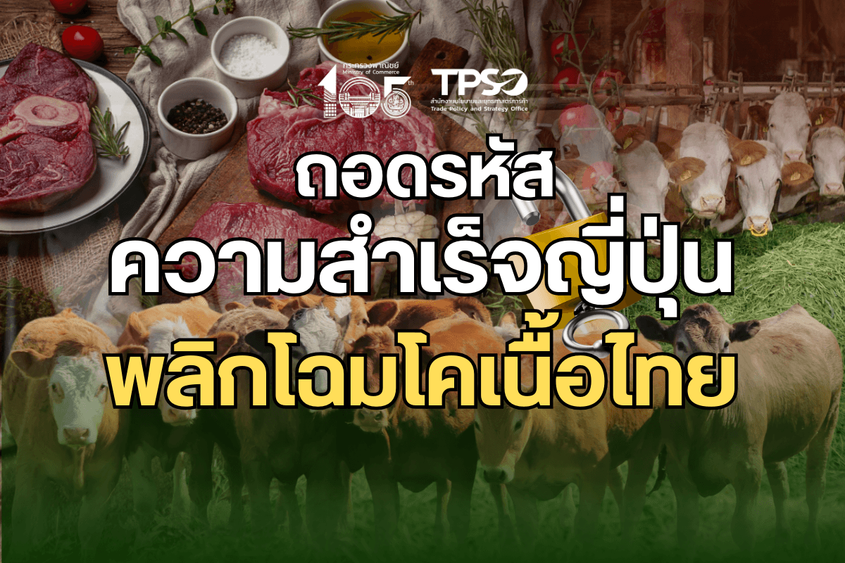 ถอดรหัสความสำเร็จญี่ปุ่น พลิกโฉมโคเนื้อไทย