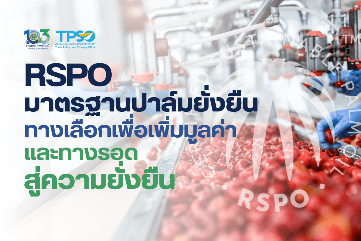 RSPO มาตรฐานปาล์มยั่งยืน ทางเลือกเพื่อเพิ่มมูลค่า และทางรอดสู่ความยั่งยืน